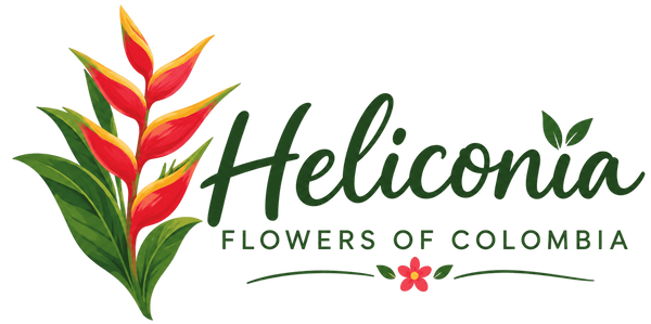 Heliconia Flowers Of Colombia