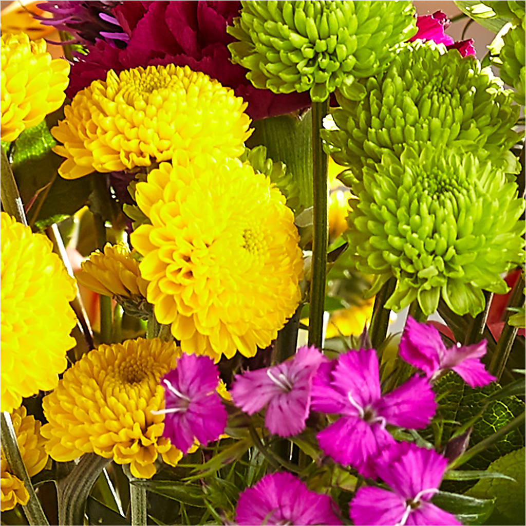 Bold & Bright – A Florist Original –  Heliconia Flowers Of Colombia, Cuddebackville NY