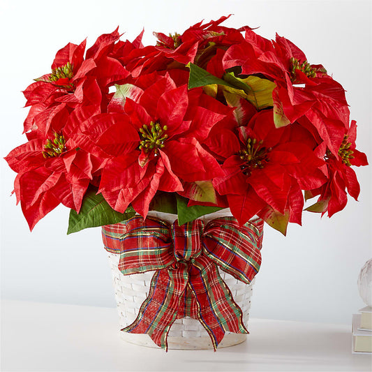 Happiest Holidays Poinsettia –  Heliconia Flowers Of Colombia, Cuddebackville NY