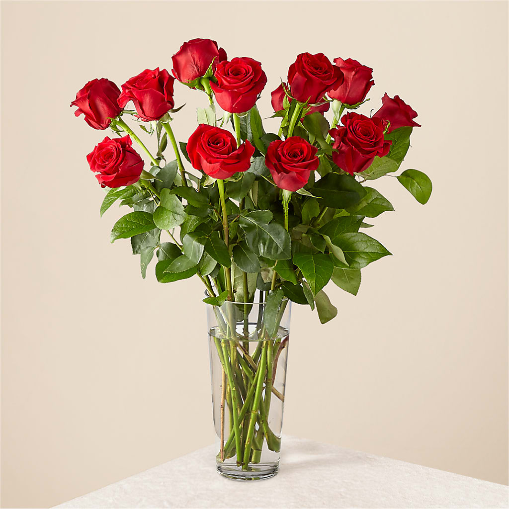 Long Stem Red Rose Bouquet –  Heliconia Flowers Of Colombia, Cuddebackville NY
