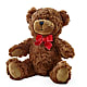 Adorable Plush Bear –  Heliconia Flowers Of Colombia, Cuddebackville NY