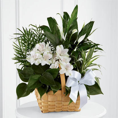 Peace & Serenity Dishgarden –  Heliconia Flowers Of Colombia, Cuddebackville NY