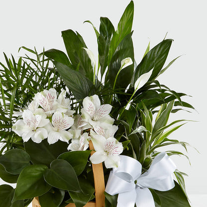 Peace & Serenity Dishgarden –  Heliconia Flowers Of Colombia, Cuddebackville NY