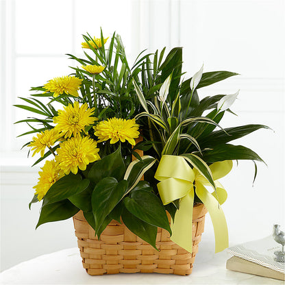 Loving Light Dishgarden –  Heliconia Flowers Of Colombia, Cuddebackville NY