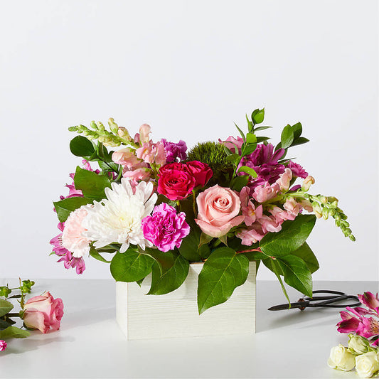 Sweetberry Box – A Florist Original –  Heliconia Flowers Of Colombia, Cuddebackville NY