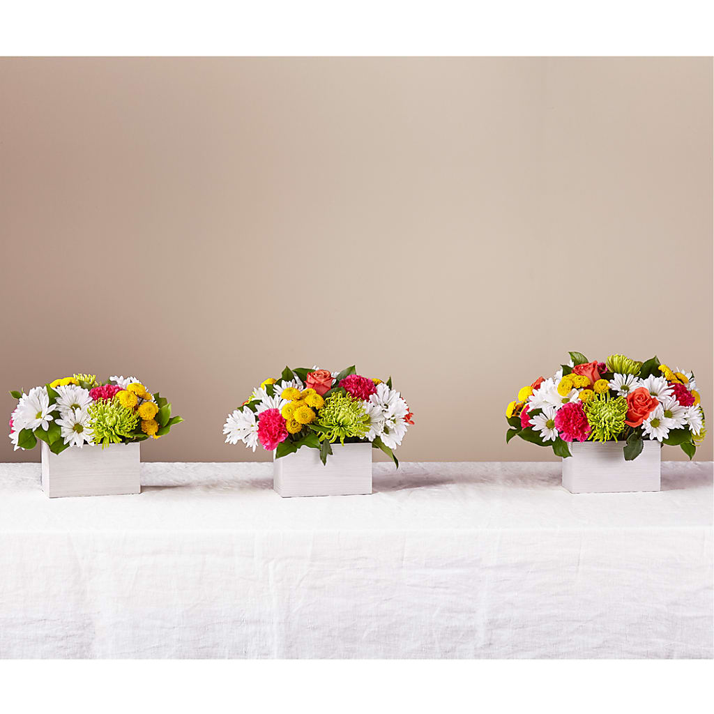 Sorbet Bouquet –  Heliconia Flowers Of Colombia, Cuddebackville NY