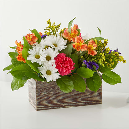 Oopsie Daisy Box Bouquet –  Heliconia Flowers Of Colombia, Cuddebackville NY