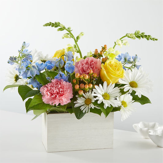 Sun Salutation Box Bouquet –  Heliconia Flowers Of Colombia, Cuddebackville NY