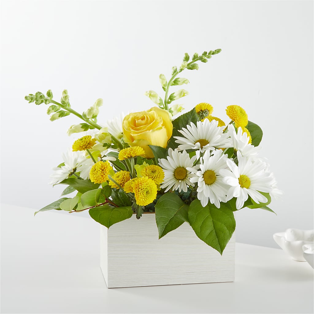Sun Salutation Box Bouquet –  Heliconia Flowers Of Colombia, Cuddebackville NY