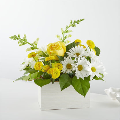 Sun Salutation Box Bouquet –  Heliconia Flowers Of Colombia, Cuddebackville NY