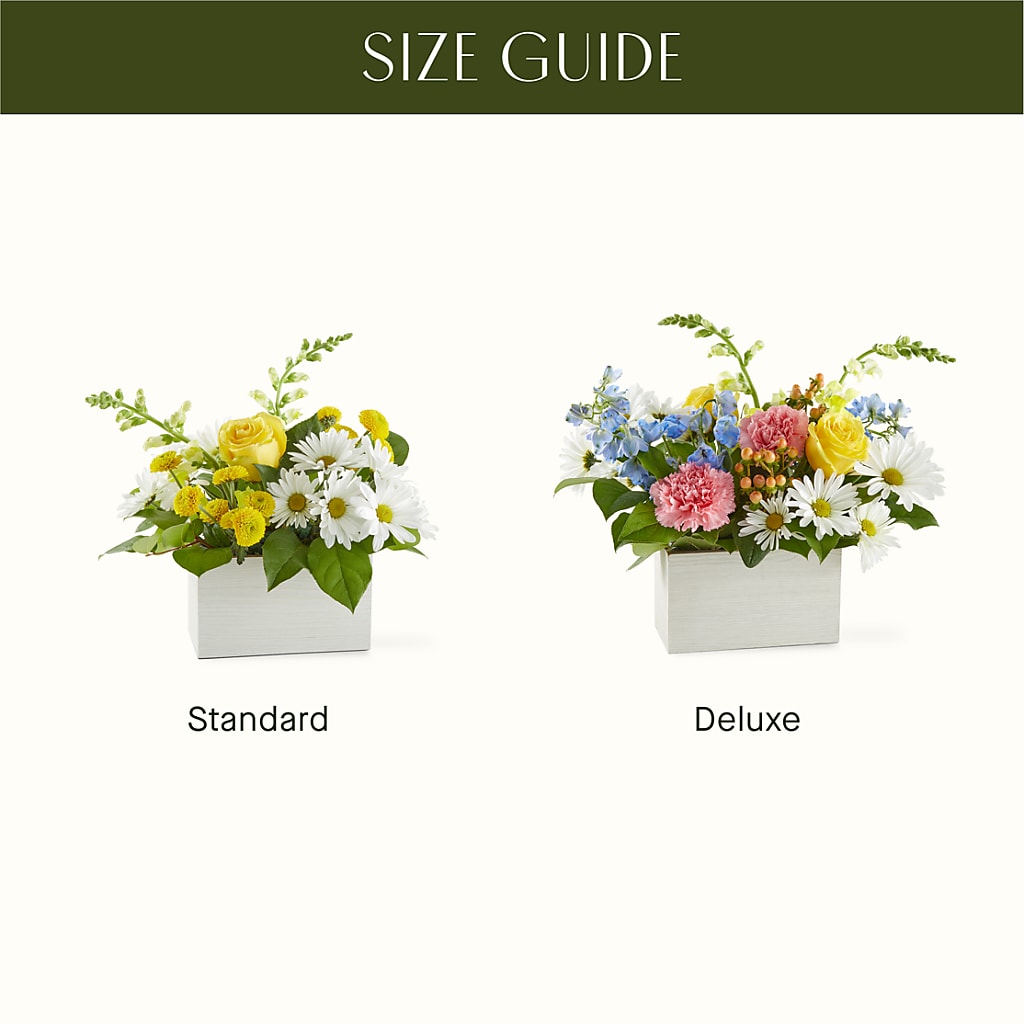 Sun Salutation Box Bouquet –  Heliconia Flowers Of Colombia, Cuddebackville NY