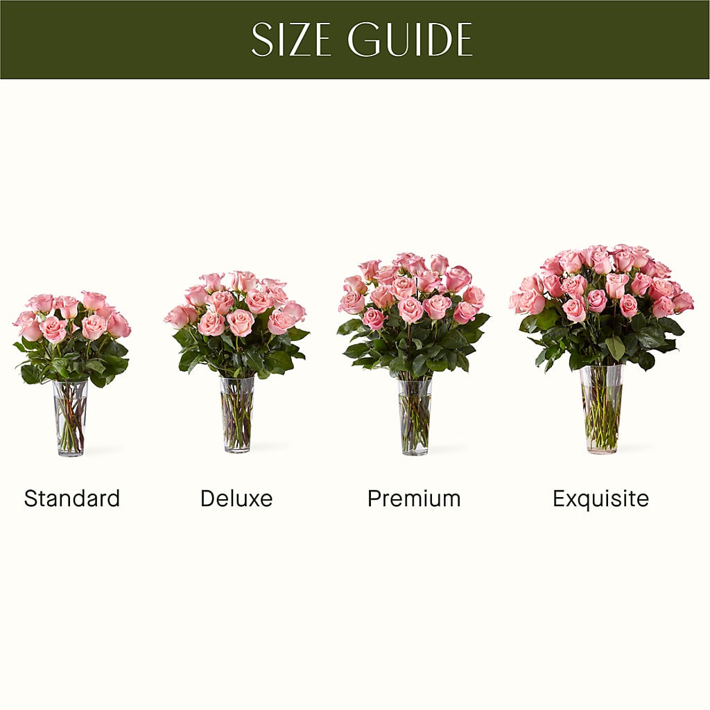 Long Stem Pink Rose Bouquet –  Heliconia Flowers Of Colombia, Cuddebackville NY