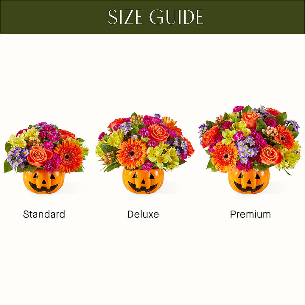 Tricks & Treats Pumpkin –  Heliconia Flowers Of Colombia, Cuddebackville NY