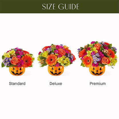 Tricks & Treats Pumpkin –  Heliconia Flowers Of Colombia, Cuddebackville NY