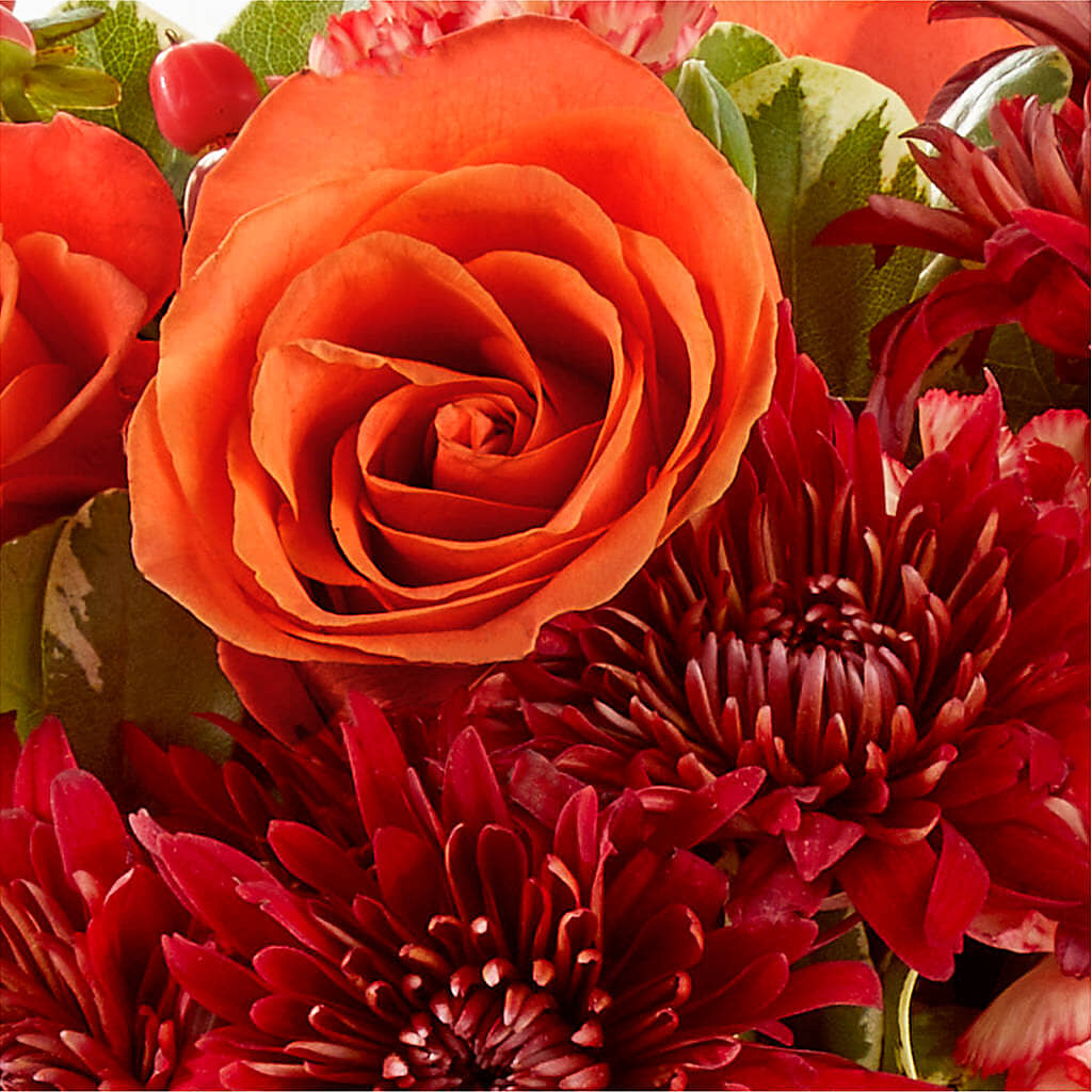 Autumn Air Pumpkin Bouquet –  Heliconia Flowers Of Colombia, Cuddebackville NY
