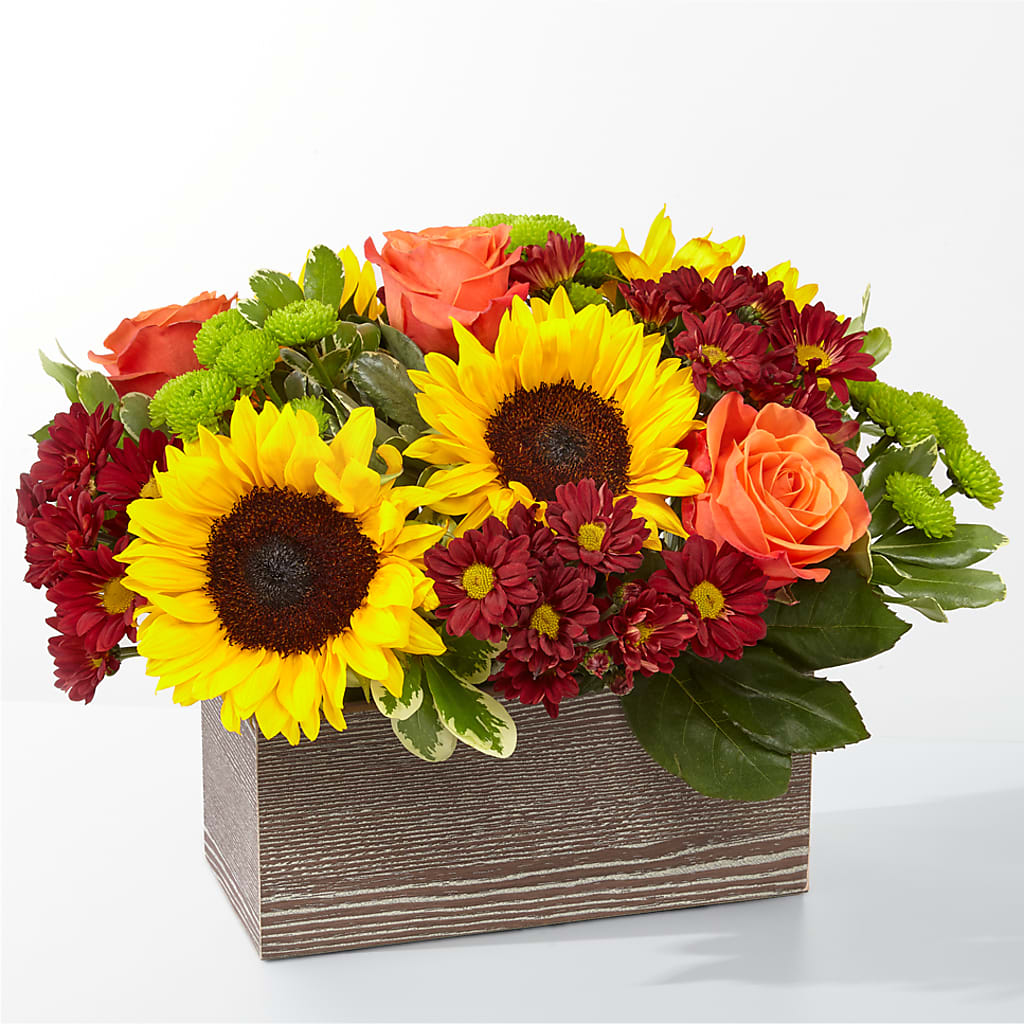 Happy Harvest Garden –  Heliconia Flowers Of Colombia, Cuddebackville NY