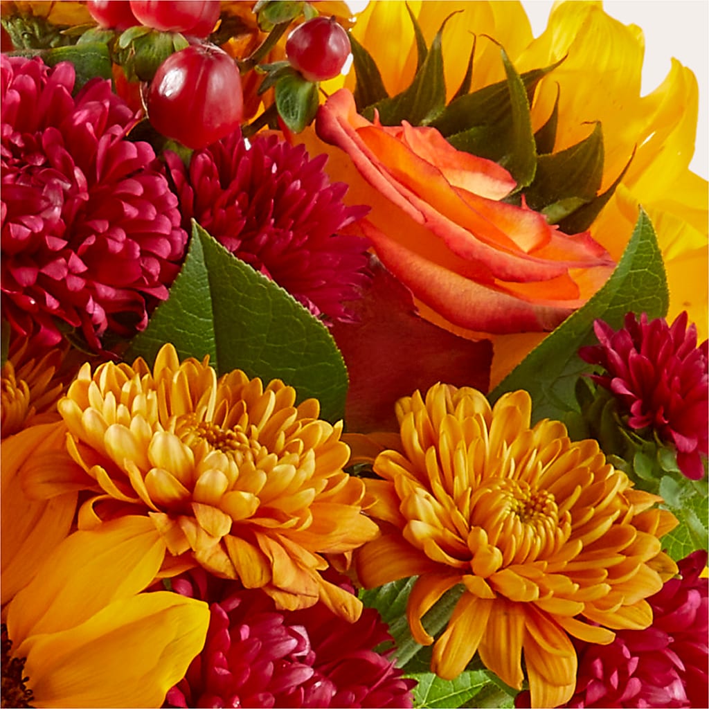 Sweater Season - A Florist Original –  Heliconia Flowers Of Colombia, Cuddebackville NY