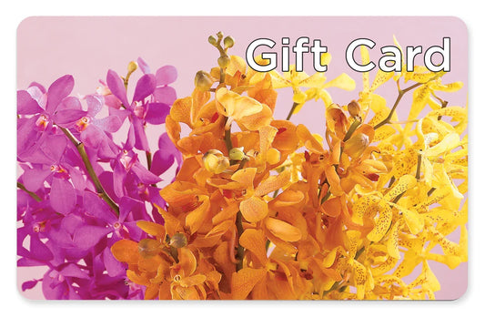 Gift Card –  Heliconia Flowers Of Colombia, Cuddebackville NY