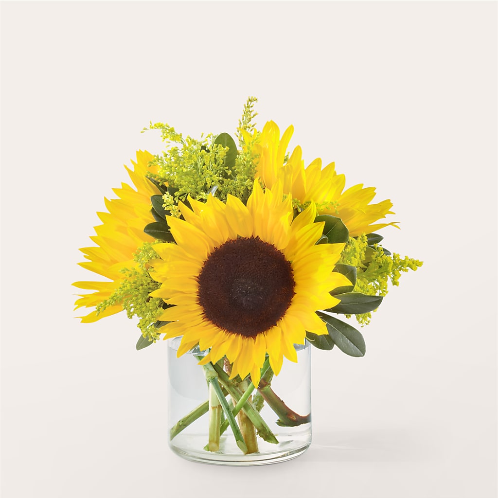 Beaming Sunflower Bouquet –  Heliconia Flowers Of Colombia, Cuddebackville NY