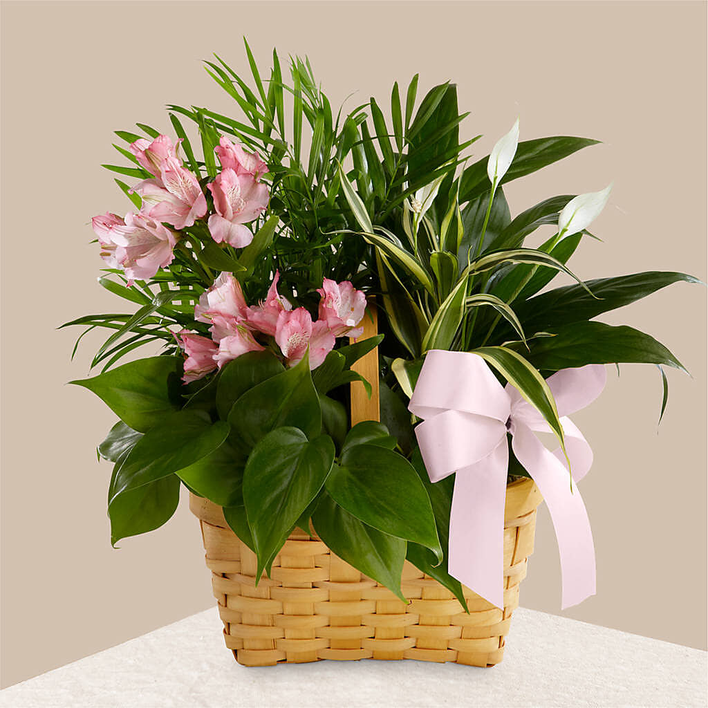 Living Spirit Dishgarden –  Heliconia Flowers Of Colombia, Cuddebackville NY