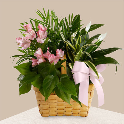Living Spirit Dishgarden –  Heliconia Flowers Of Colombia, Cuddebackville NY