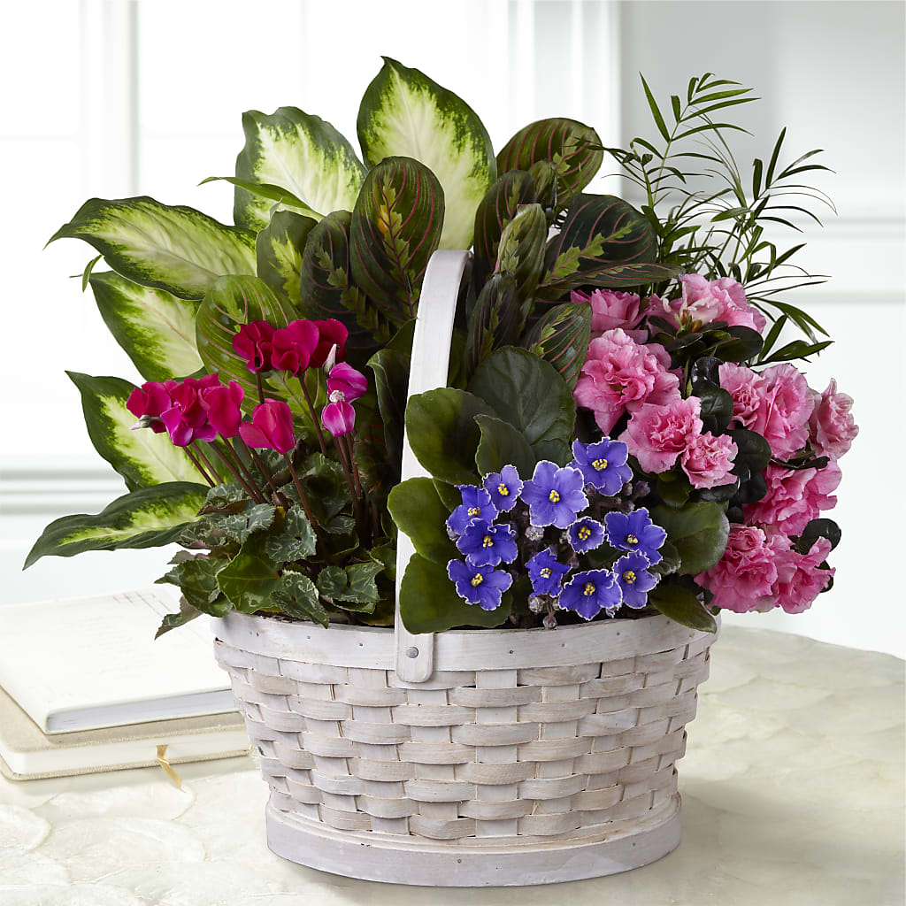 Peaceful Garden Planter –  Heliconia Flowers Of Colombia, Cuddebackville NY