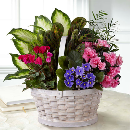 Peaceful Garden Planter –  Heliconia Flowers Of Colombia, Cuddebackville NY