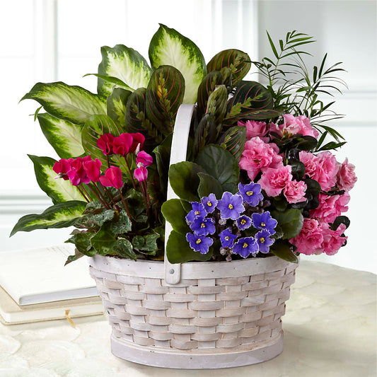 Peaceful Garden Planter –  Heliconia Flowers Of Colombia, Cuddebackville NY