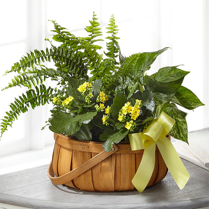 Always Dear Dishgarden –  Heliconia Flowers Of Colombia, Cuddebackville NY