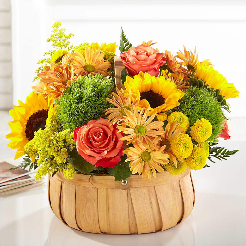 Harvest Sunflower Basket –  Heliconia Flowers Of Colombia, Cuddebackville NY