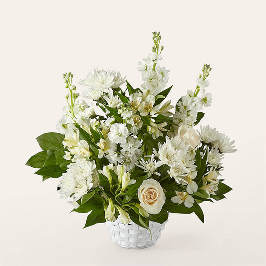 Eternal Affection Arrangement –  Heliconia Flowers Of Colombia, Cuddebackville NY