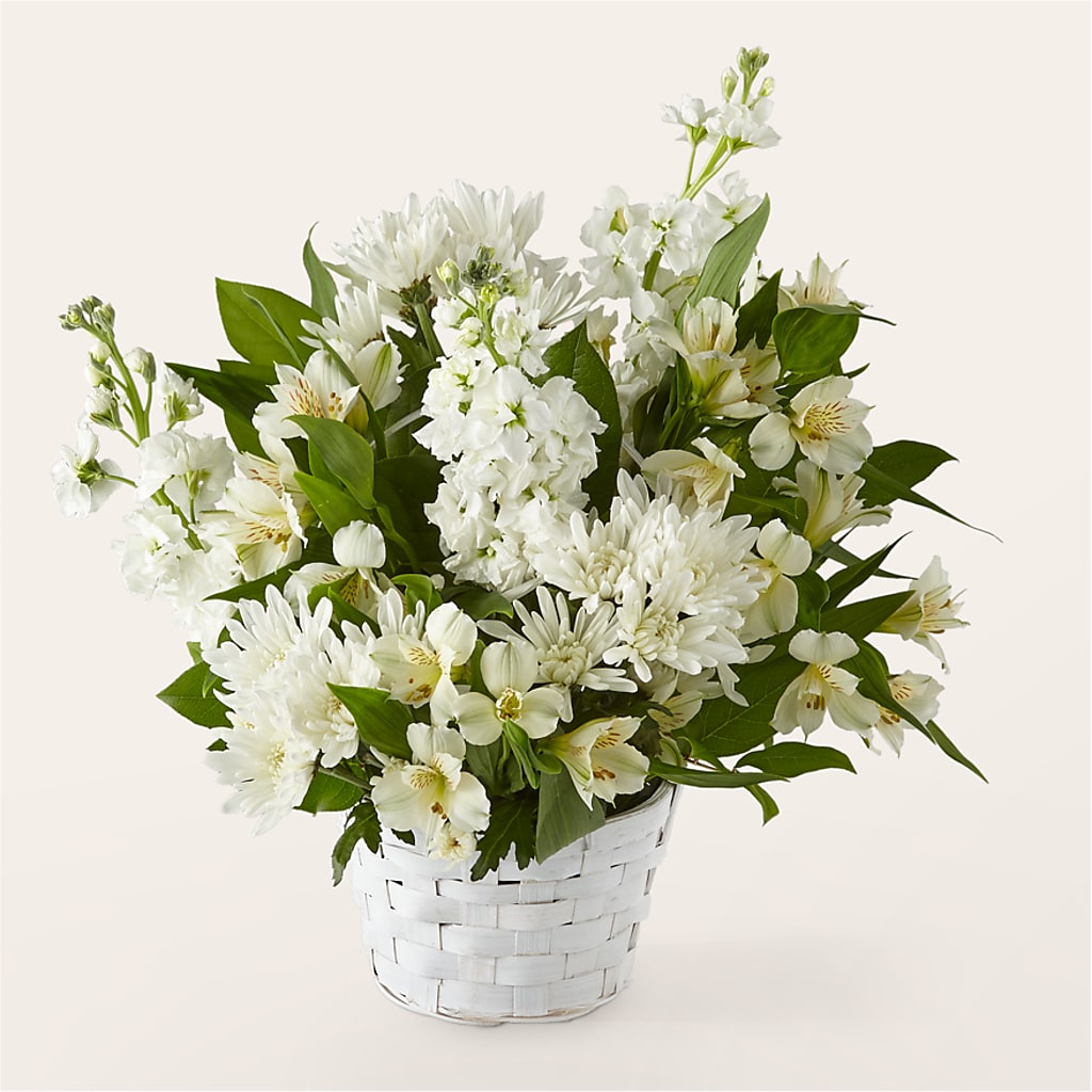Eternal Affection Arrangement –  Heliconia Flowers Of Colombia, Cuddebackville NY
