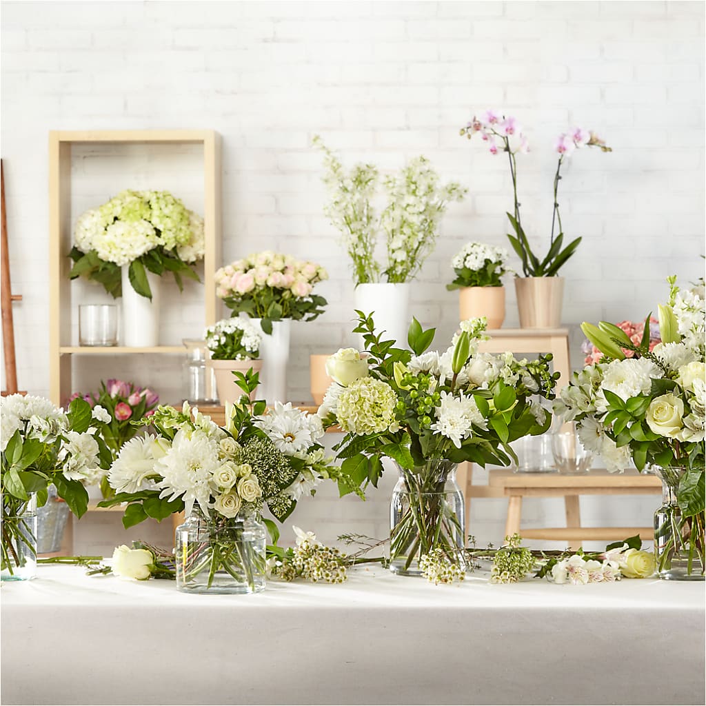 Classic Ivory – A Florist Original –  Heliconia Flowers Of Colombia, Cuddebackville NY