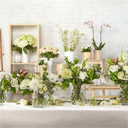 Classic Ivory – A Florist Original –  Heliconia Flowers Of Colombia, Cuddebackville NY
