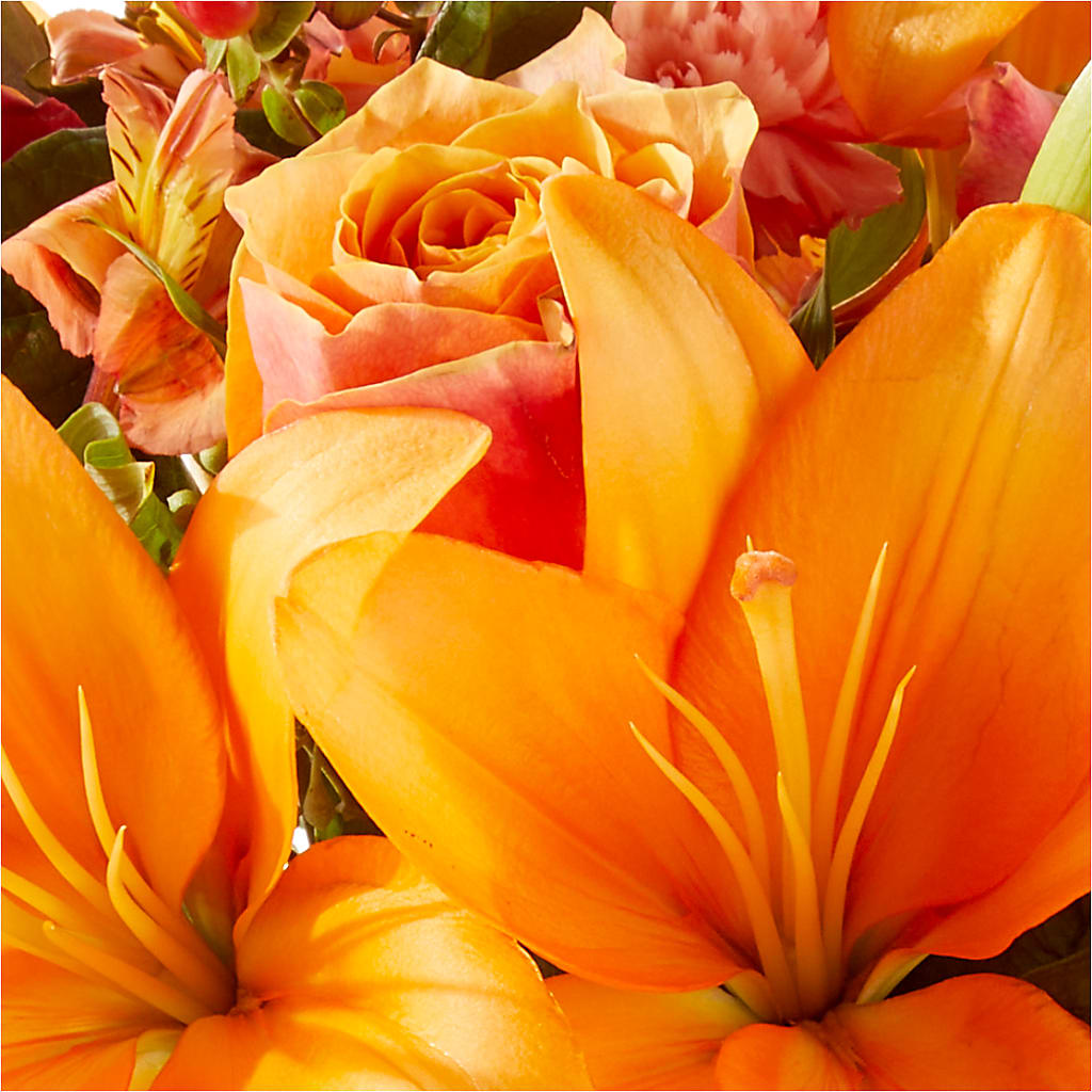 Afternoon Light Bouquet –  Heliconia Flowers Of Colombia, Cuddebackville NY