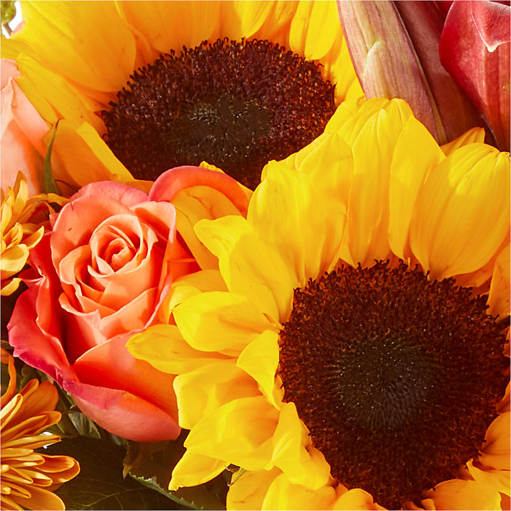 Acorn Lane Bouquet –  Heliconia Flowers Of Colombia, Cuddebackville NY