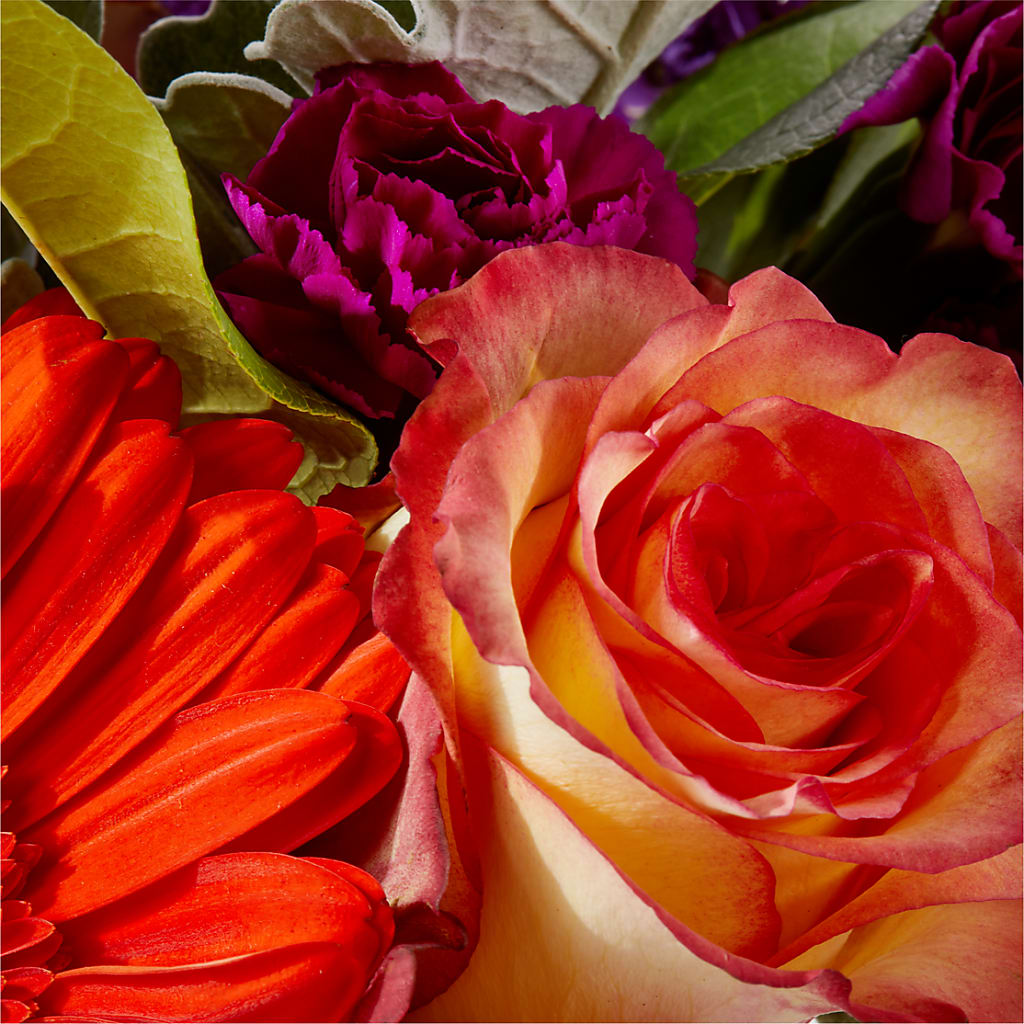 Sangria Bouquet –  Heliconia Flowers Of Colombia, Cuddebackville NY