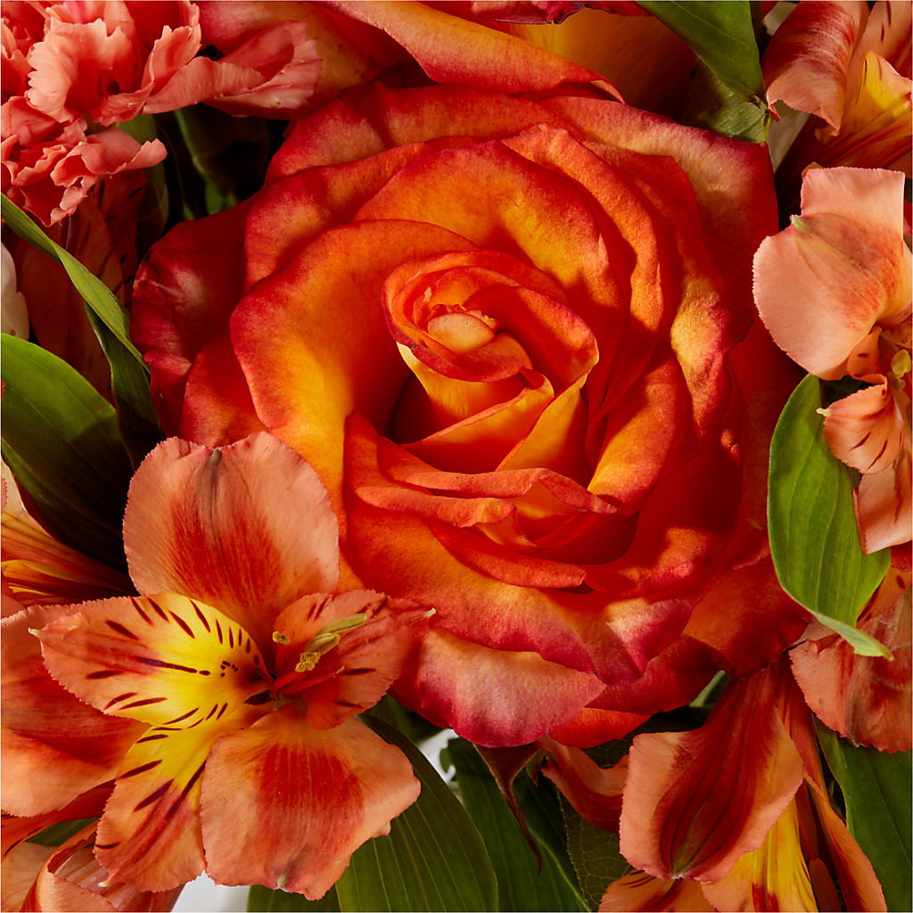 Apricot Glow Bouquet –  Heliconia Flowers Of Colombia, Cuddebackville NY