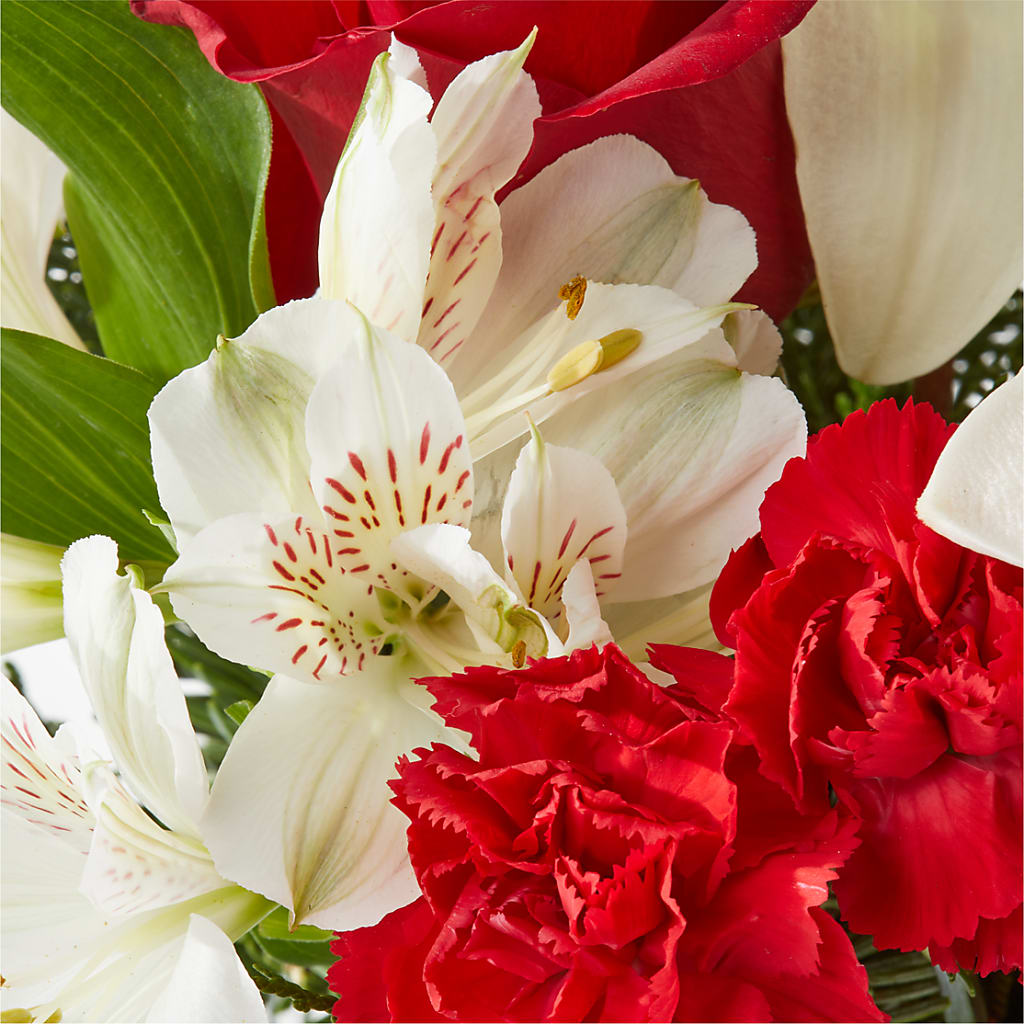 Holiday Season Bouquet –  Heliconia Flowers Of Colombia, Cuddebackville NY