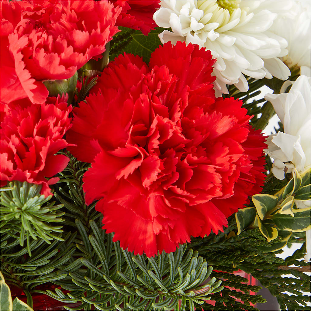 Christmas Market Bouquet –  Heliconia Flowers Of Colombia, Cuddebackville NY