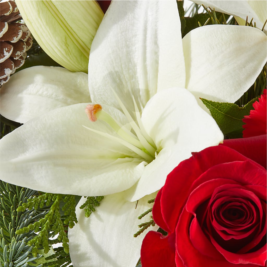 Oh So Jolly Bouquet –  Heliconia Flowers Of Colombia, Cuddebackville NY
