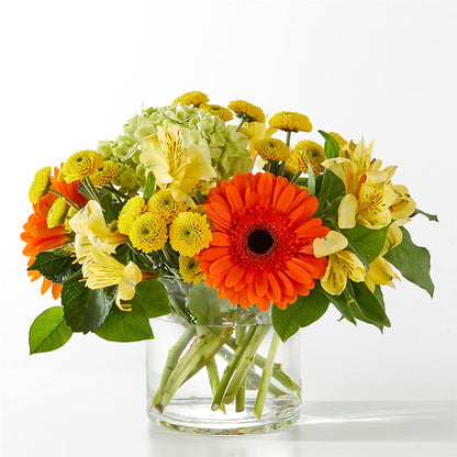 Autumn Sunshine Bouquet –  Heliconia Flowers Of Colombia, Cuddebackville NY