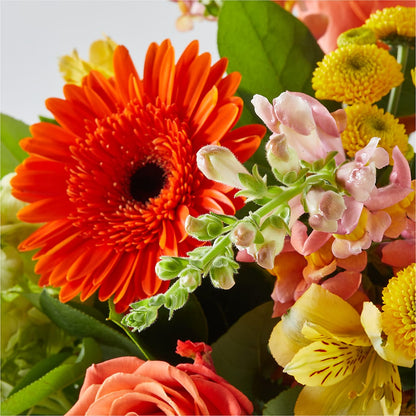 Autumn Sunshine Bouquet –  Heliconia Flowers Of Colombia, Cuddebackville NY