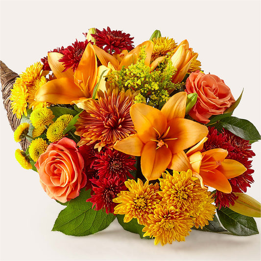Feast of Color Cornucopia –  Heliconia Flowers Of Colombia, Cuddebackville NY