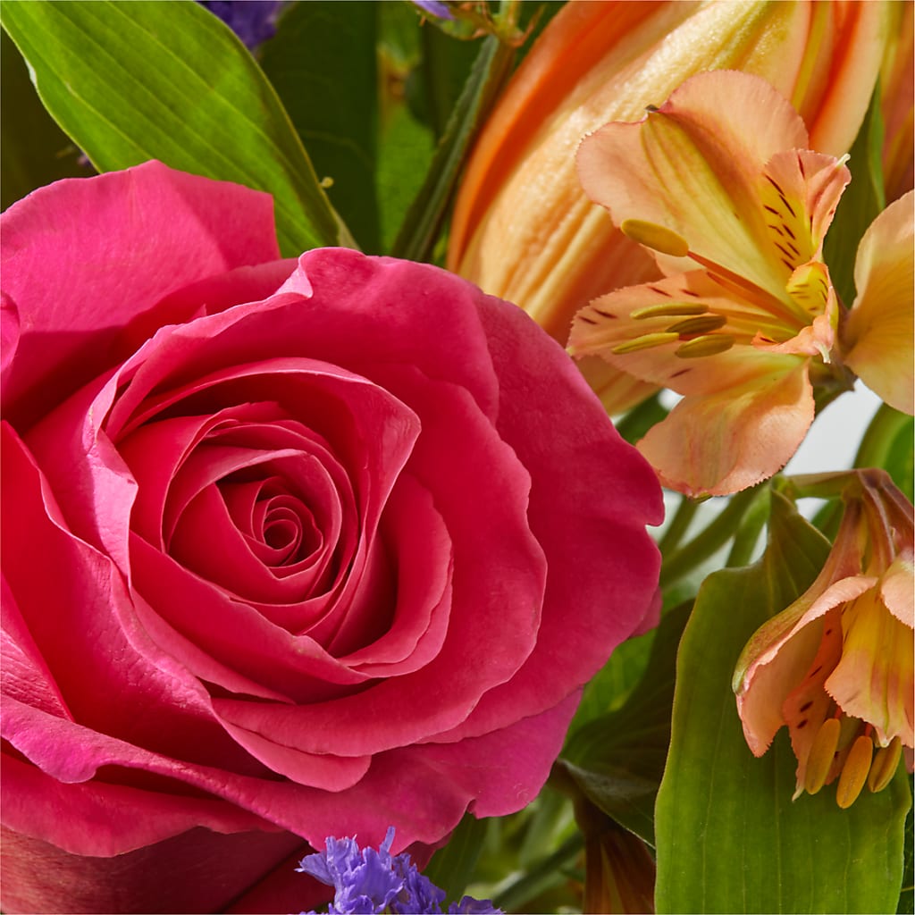 Joyful Bouquet –  Heliconia Flowers Of Colombia, Cuddebackville NY