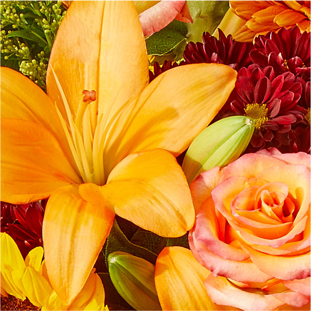 Seasons Change Bouquet –  Heliconia Flowers Of Colombia, Cuddebackville NY