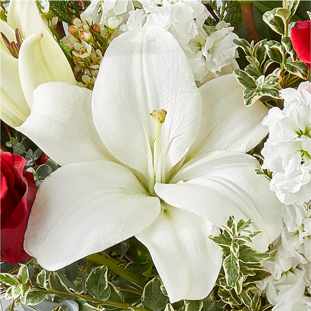 Twinkle Lights Bouquet –  Heliconia Flowers Of Colombia, Cuddebackville NY