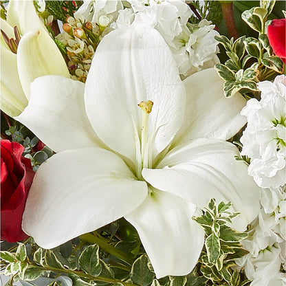 Twinkle Lights Bouquet –  Heliconia Flowers Of Colombia, Cuddebackville NY