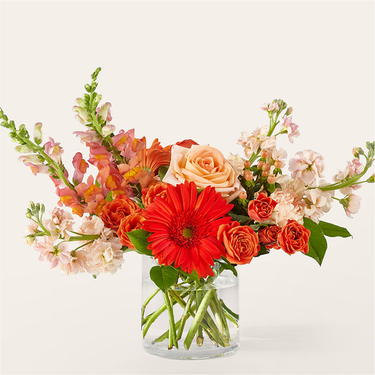 Paloma Please Bouquet –  Heliconia Flowers Of Colombia, Cuddebackville NY