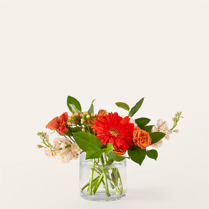 Paloma Please Bouquet –  Heliconia Flowers Of Colombia, Cuddebackville NY